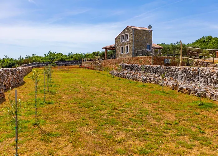 فيلة Mare ريسيكا